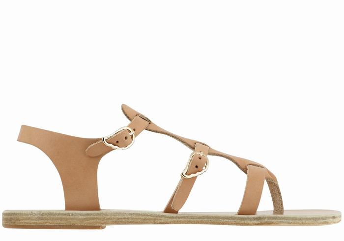 Sandales Casual Ancient Greek Sandals Grace Kelly Leather   | QDF-9975527